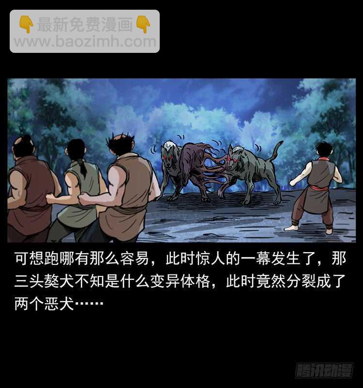 47.jpg