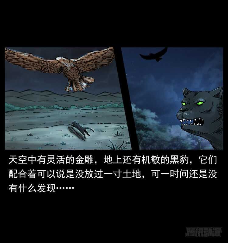 30.jpg