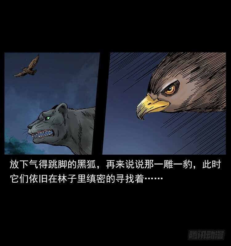 29.jpg