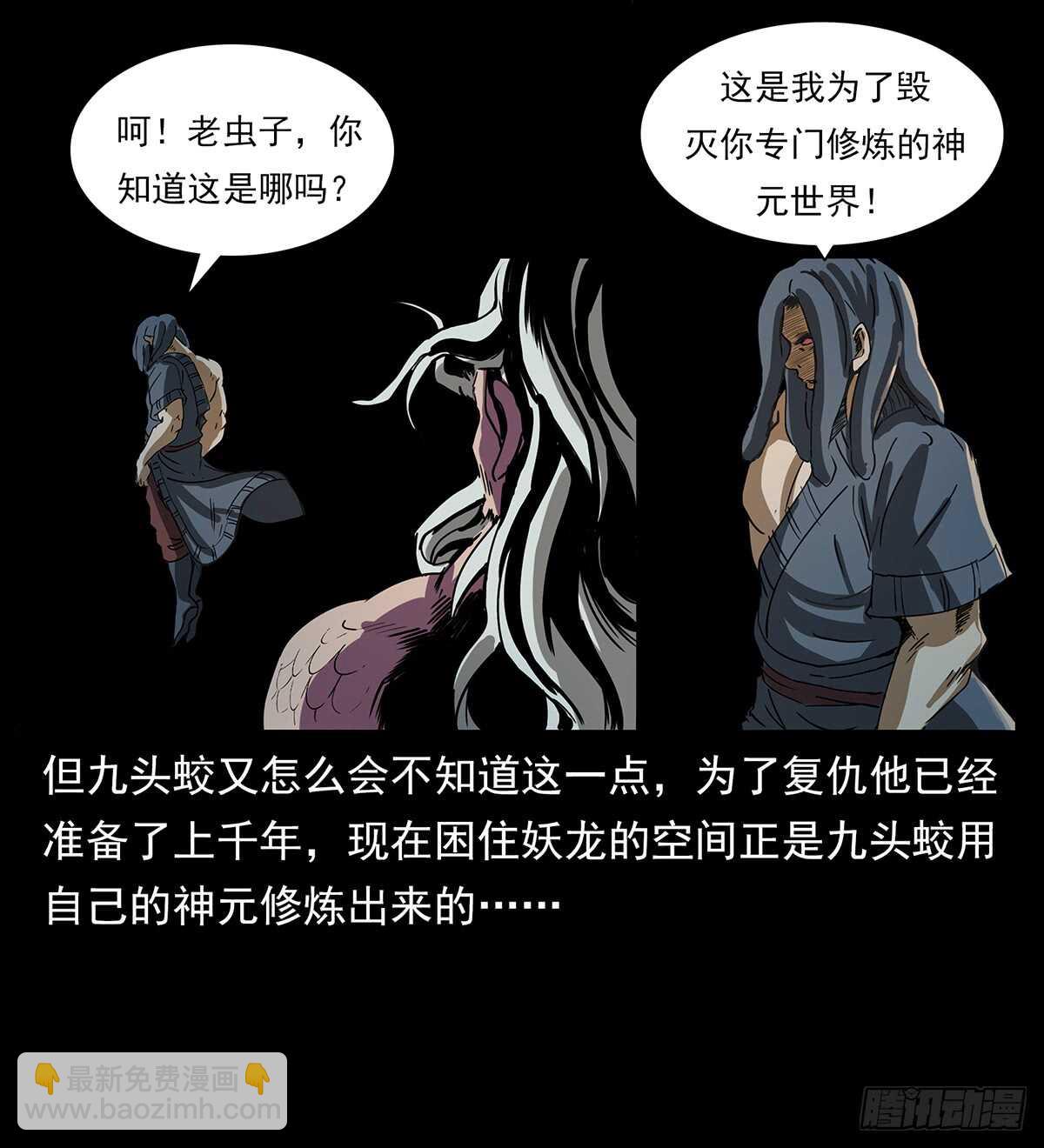 11.jpg