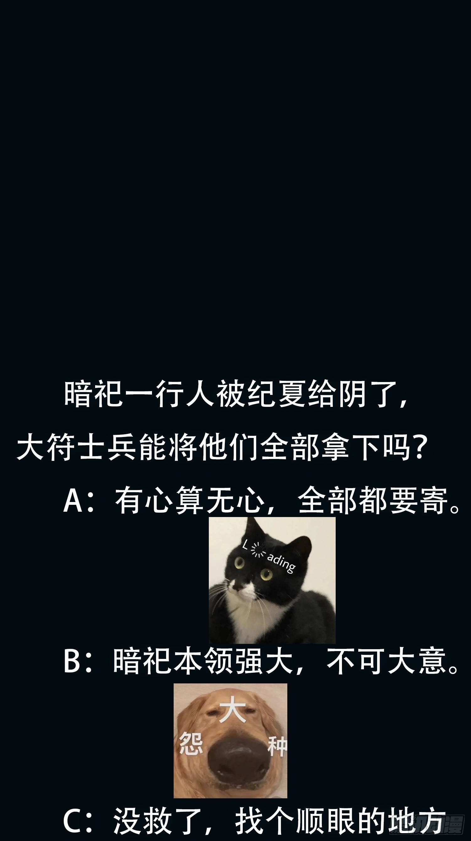 46.jpg