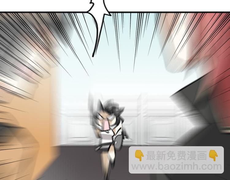 47.jpg