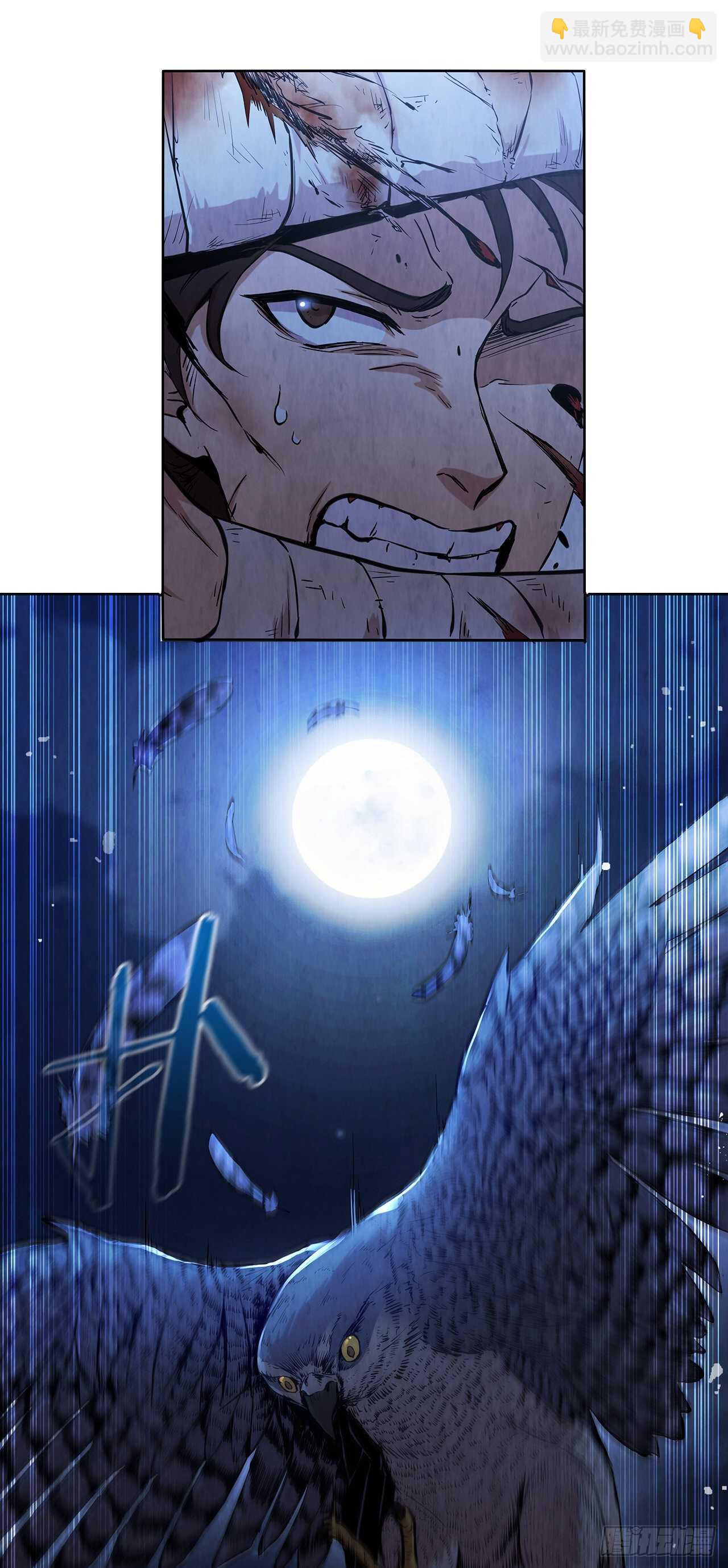 41.jpg