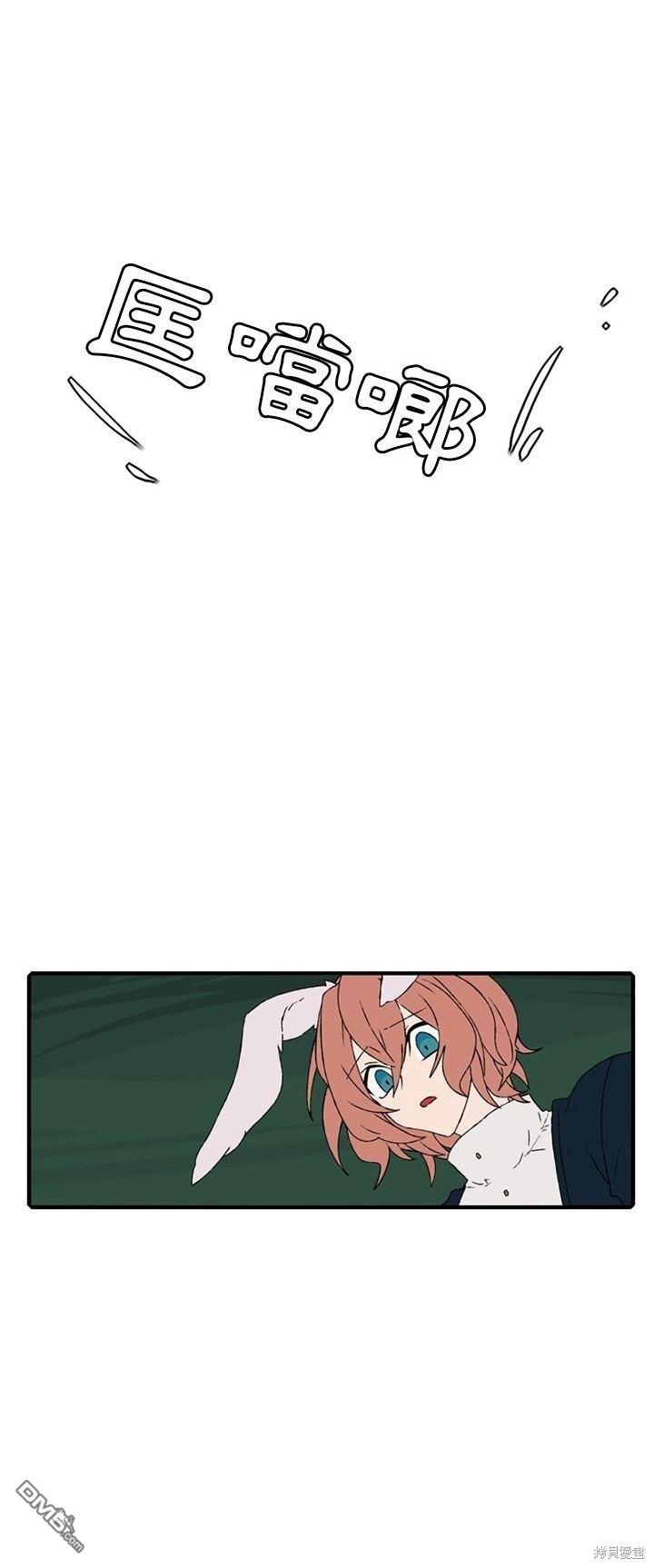21.jpg