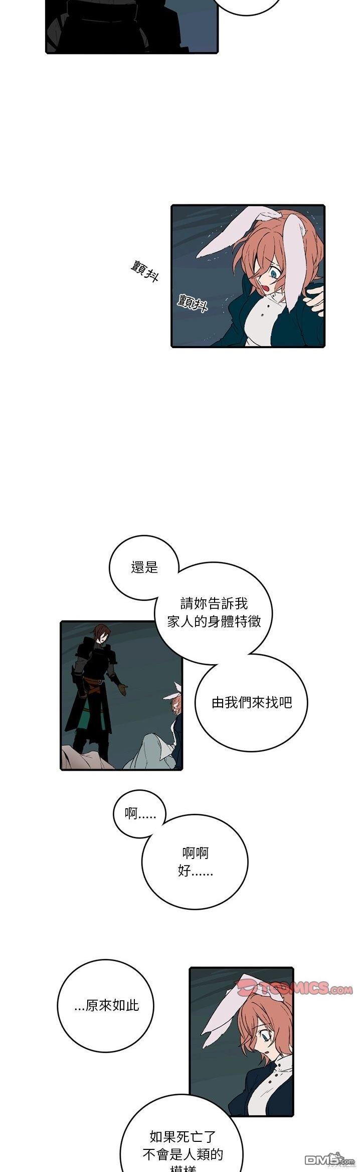 13.jpg