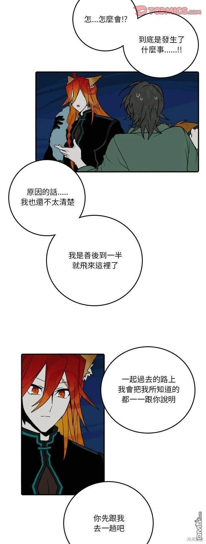 19.jpg