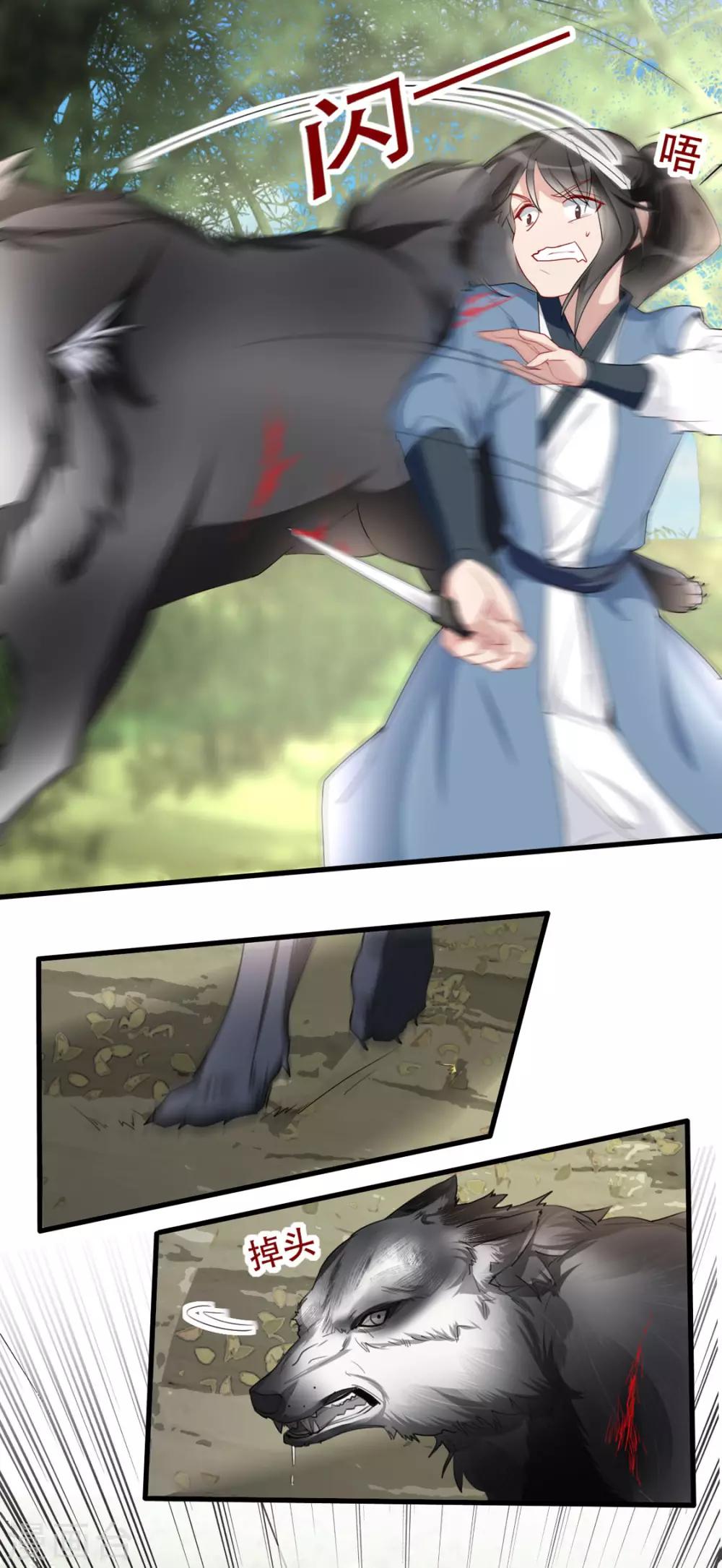 6.jpg