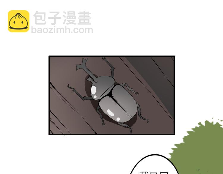 26.jpg
