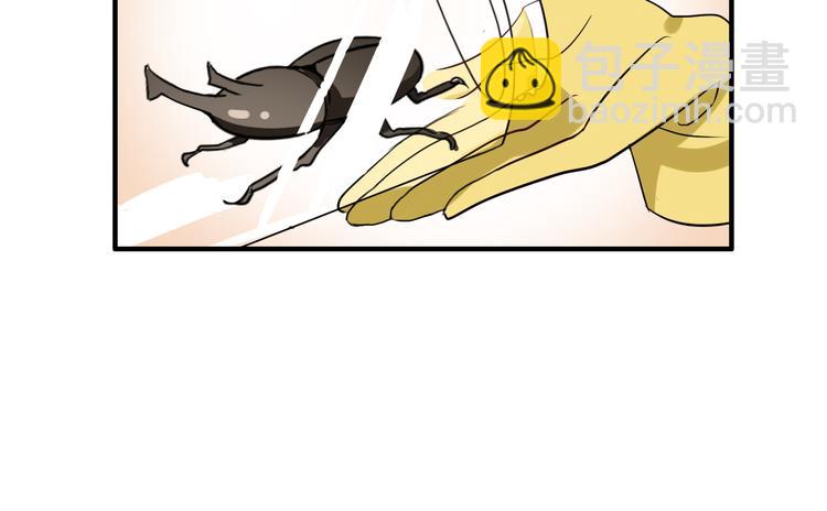 48.jpg