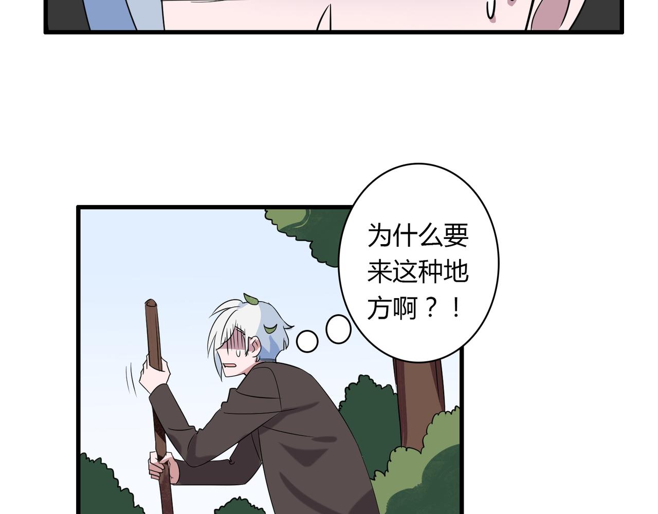 29.jpg