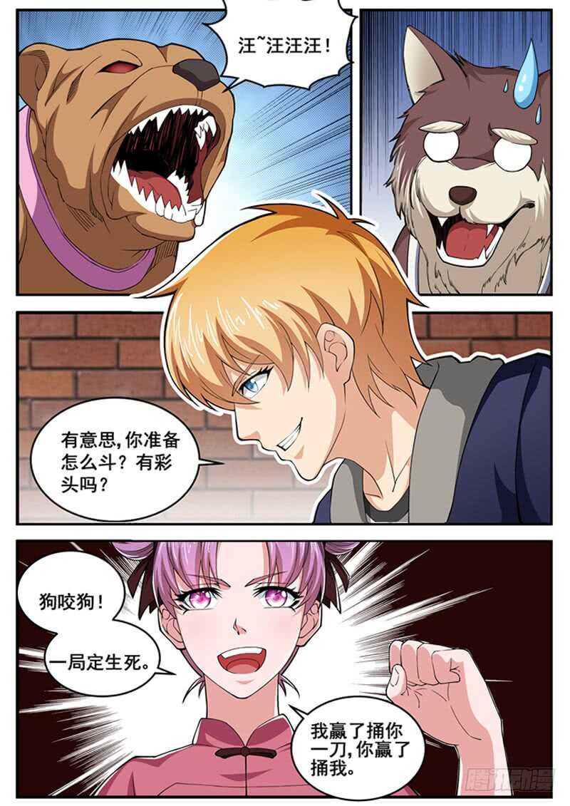 5.jpg