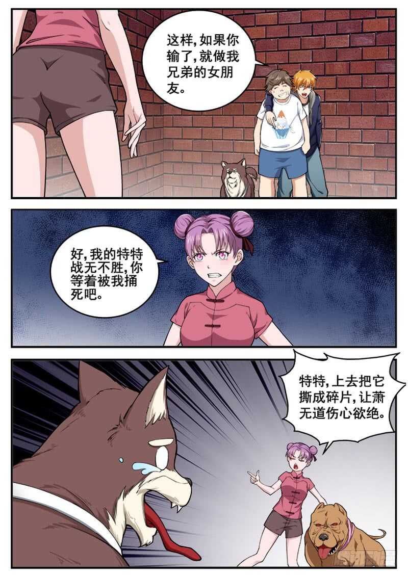 7.jpg