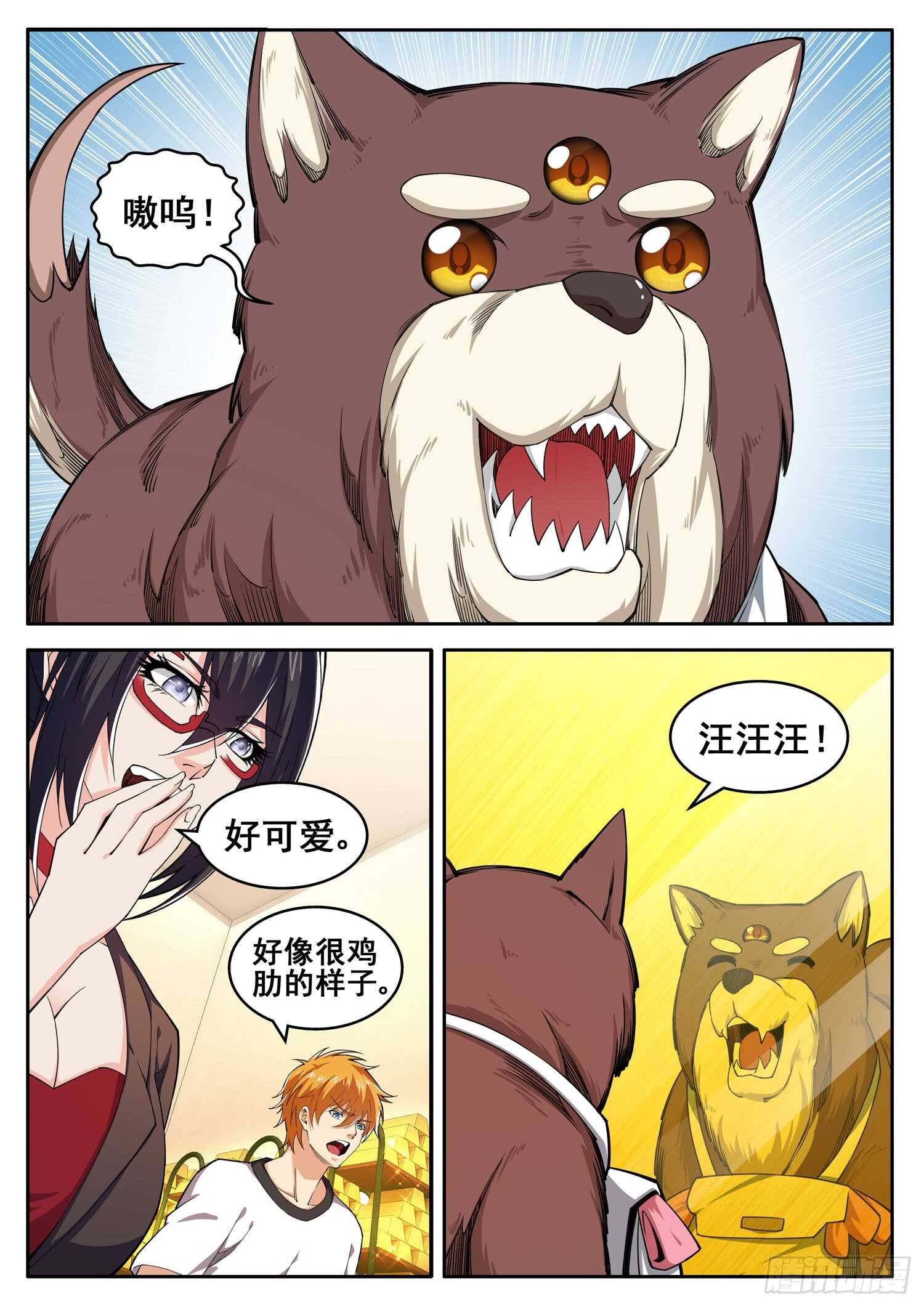 5.jpg