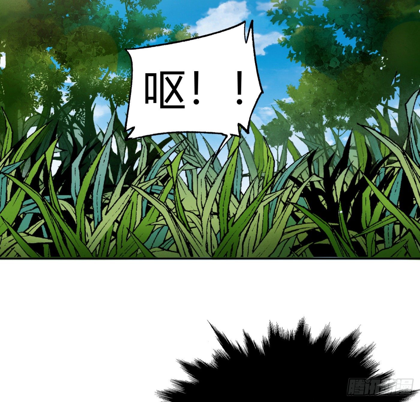 19.jpg