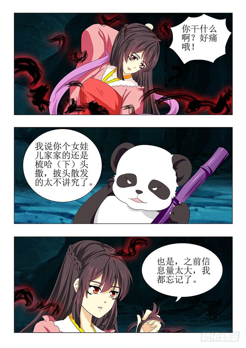 11.jpg