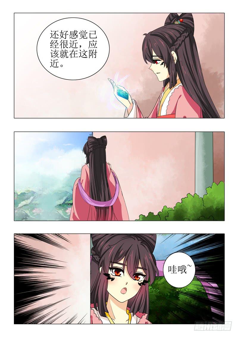 4.jpg