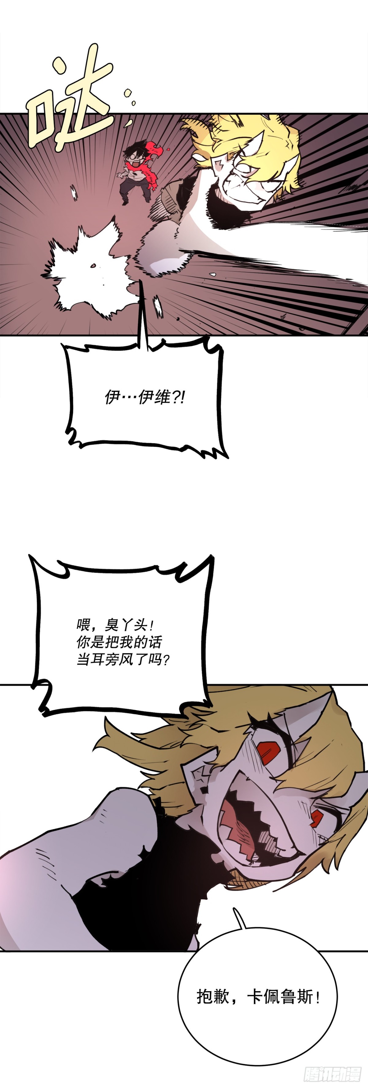 23.jpg