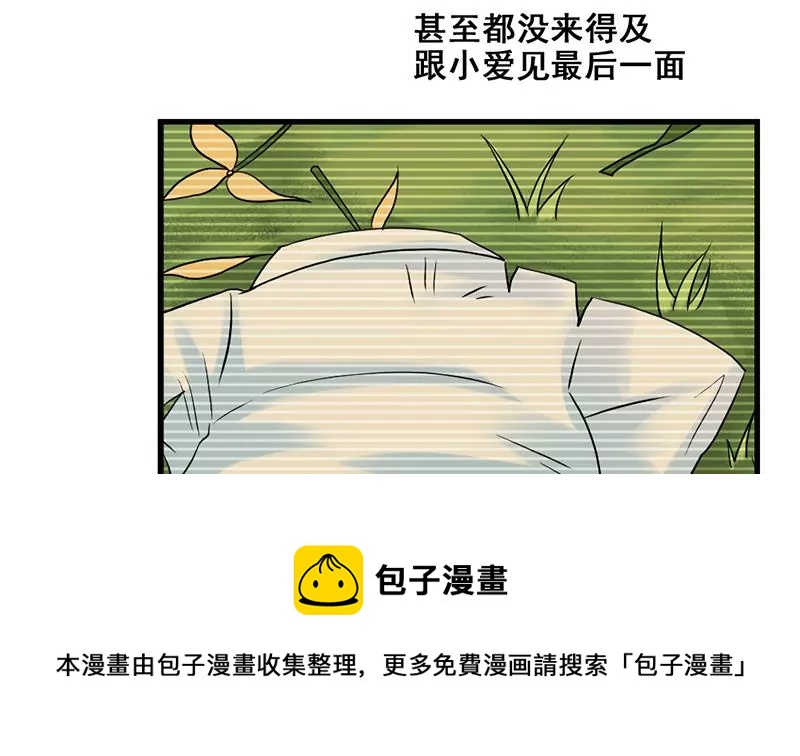 29.jpg