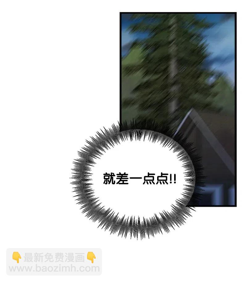 48.jpg