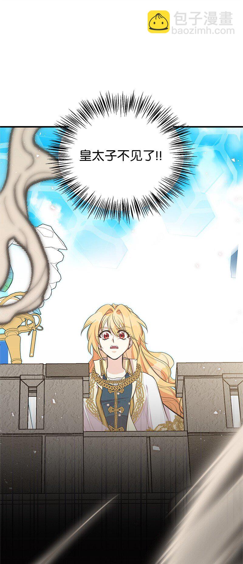 11.jpg