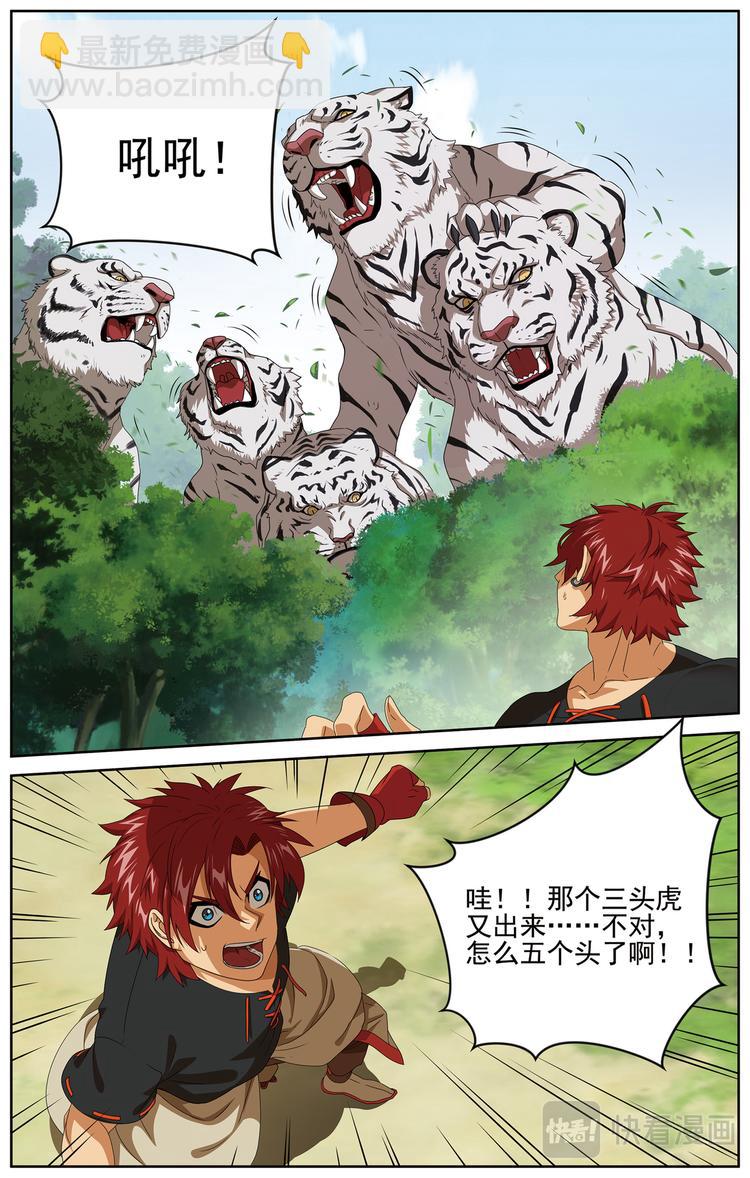 3.jpg