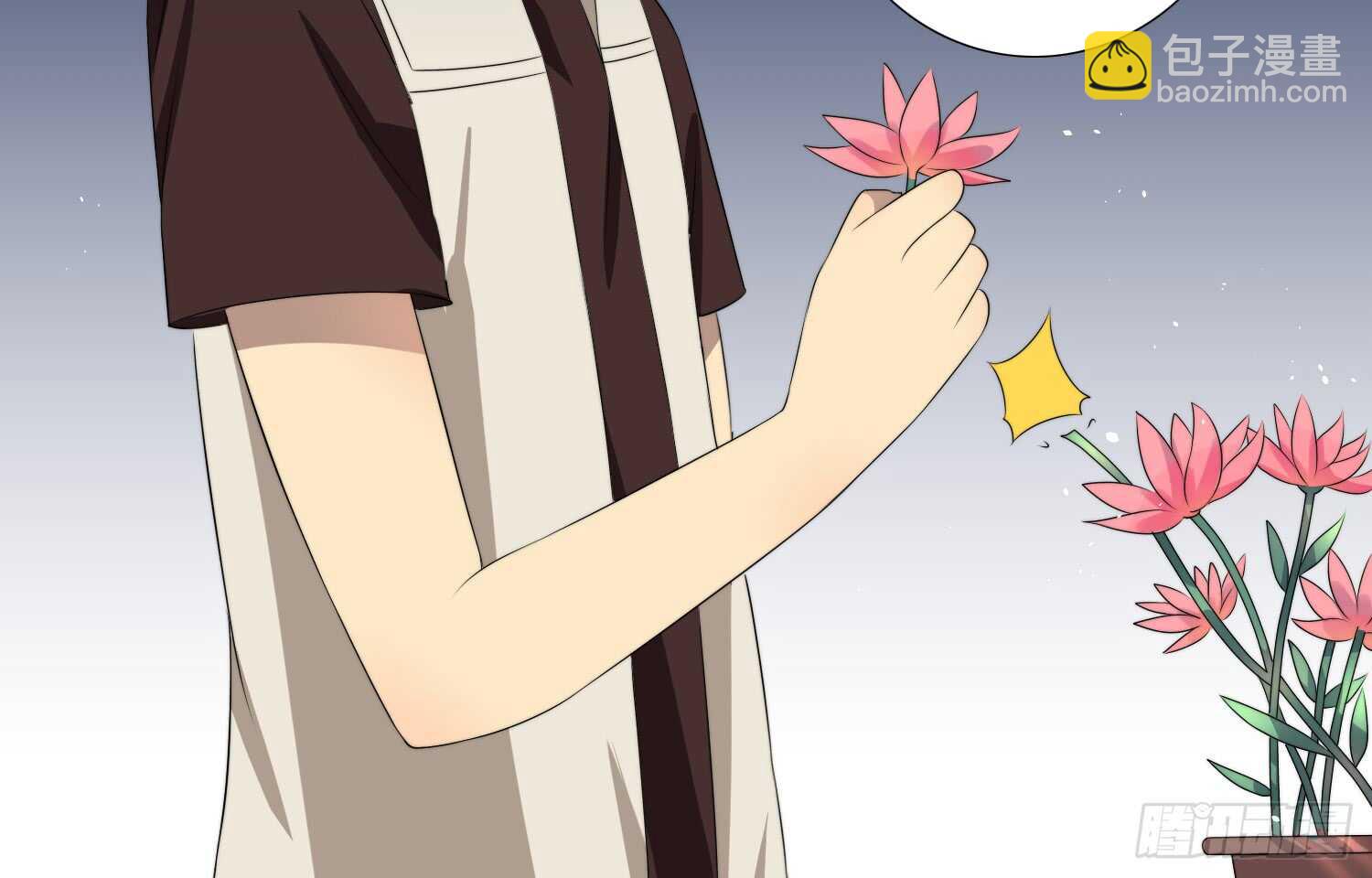 11.jpg