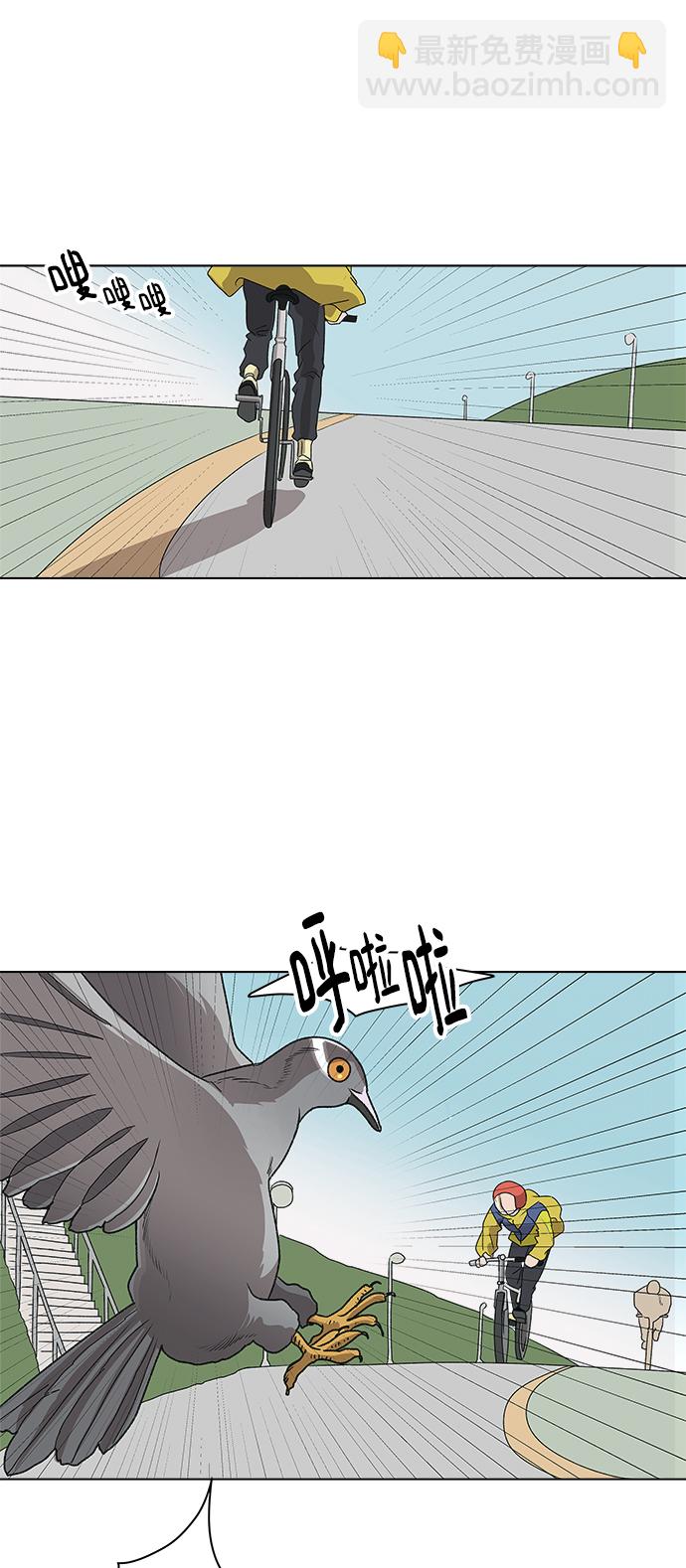 17.jpg