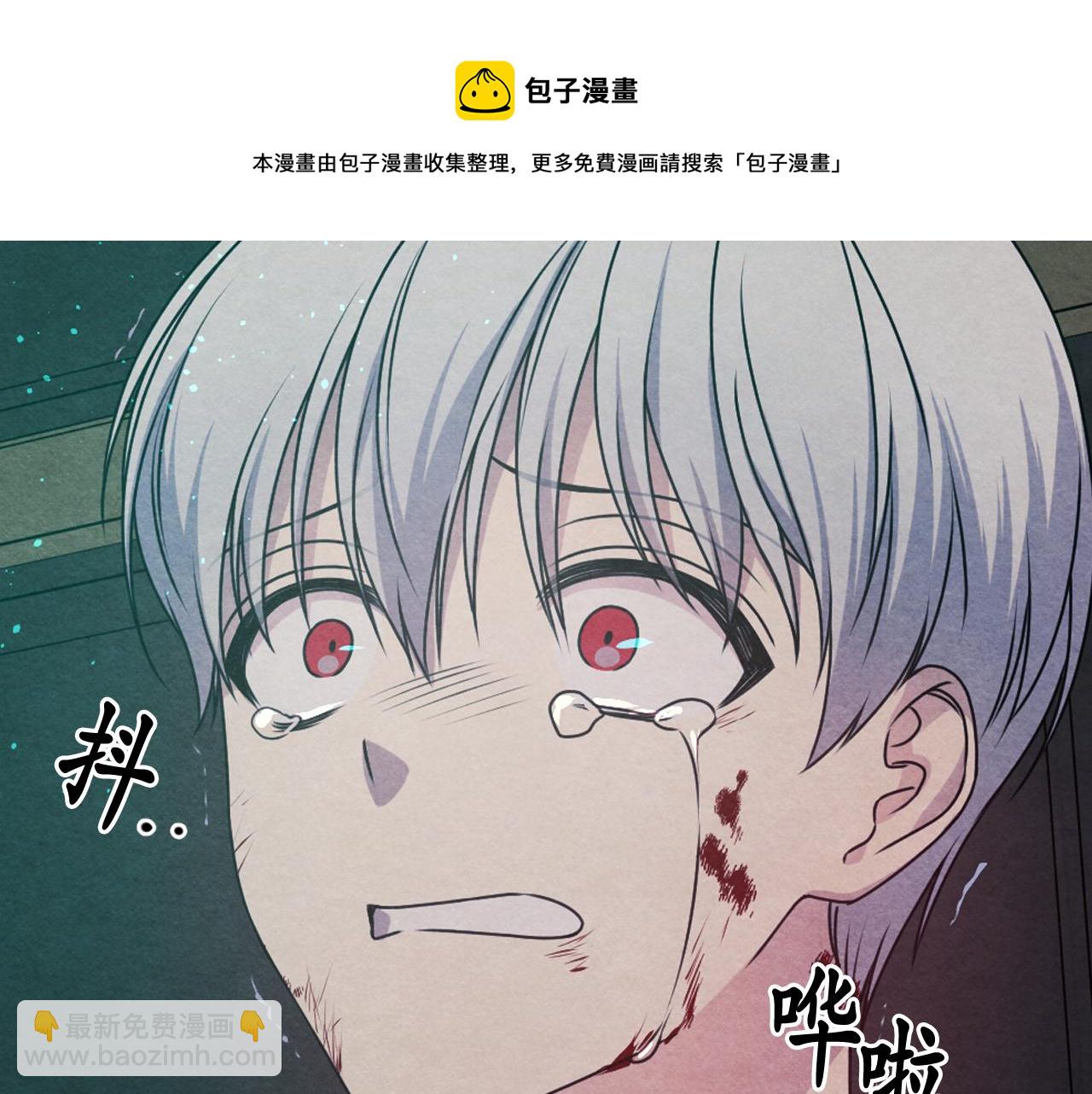 41.jpg