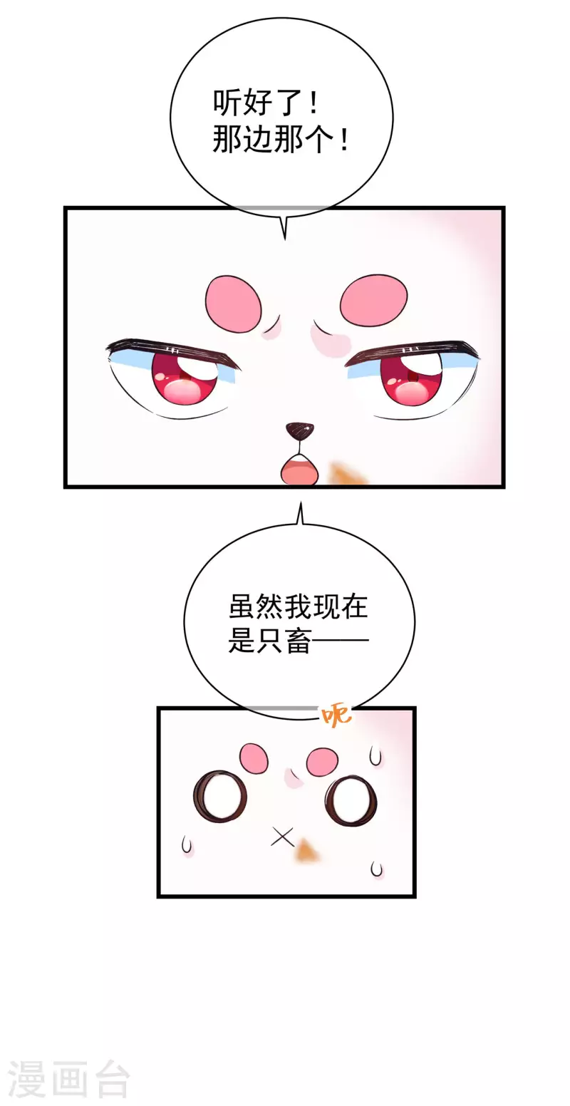 20.jpg