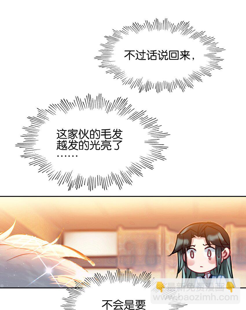 46.jpg