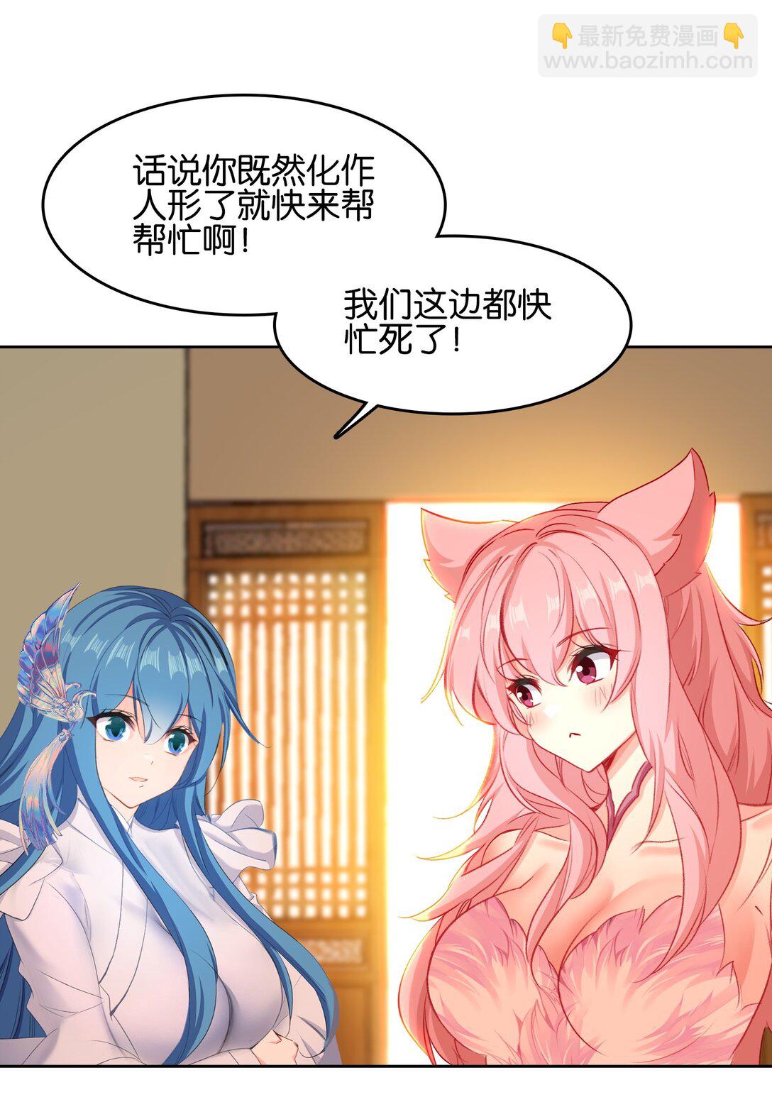 25.jpg