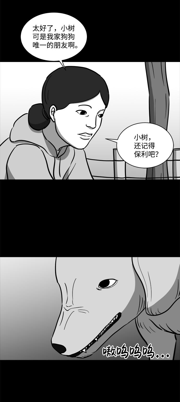 26.jpg