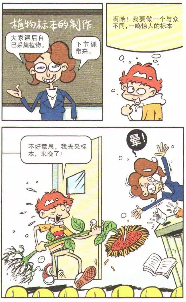 24.jpg