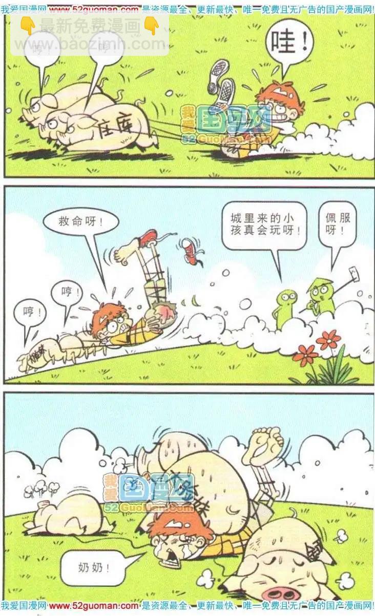11.jpg