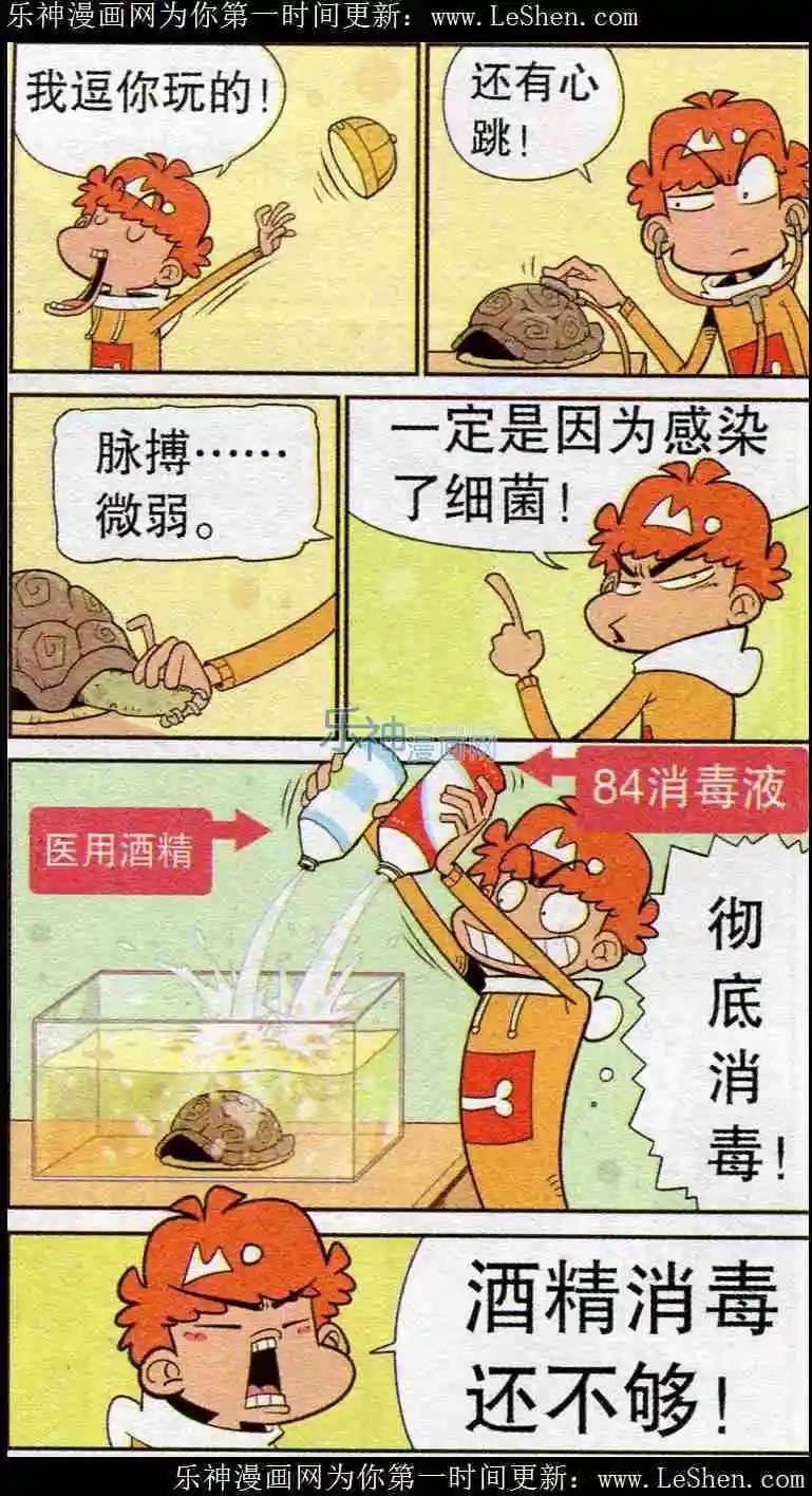 13.jpg