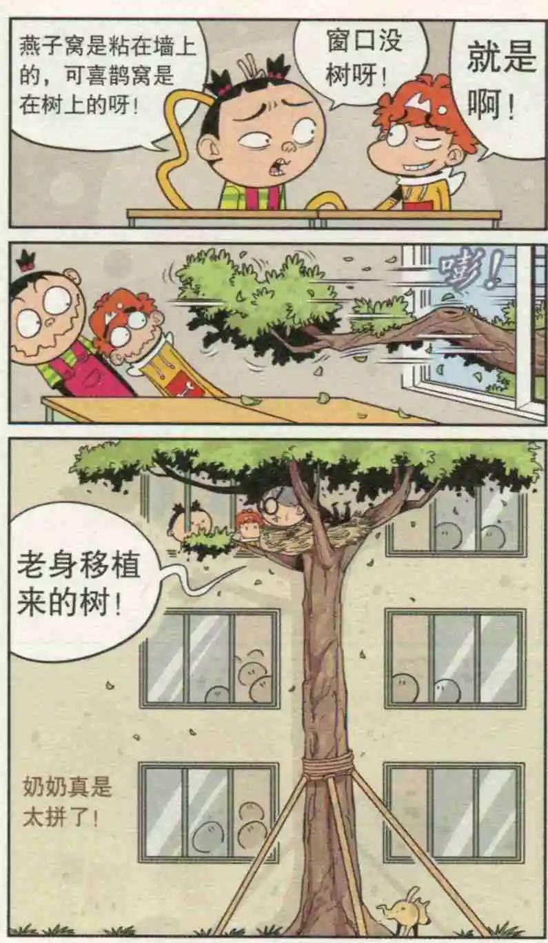 17.jpg