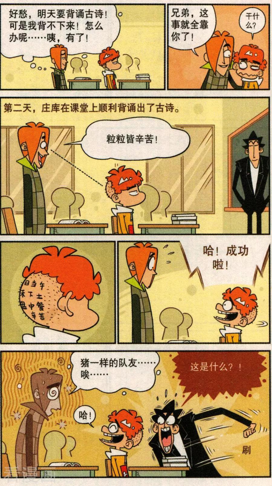 5.jpg