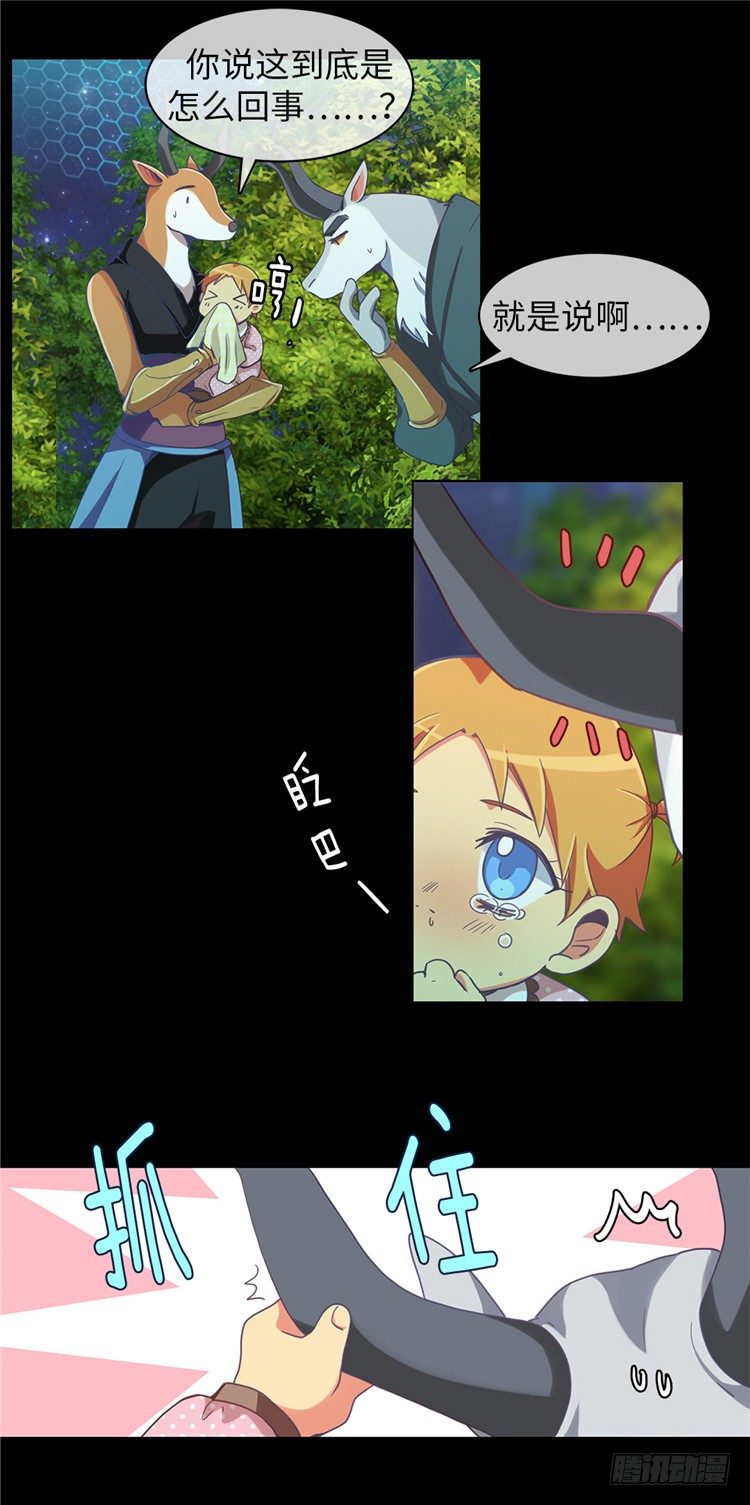 19.jpg