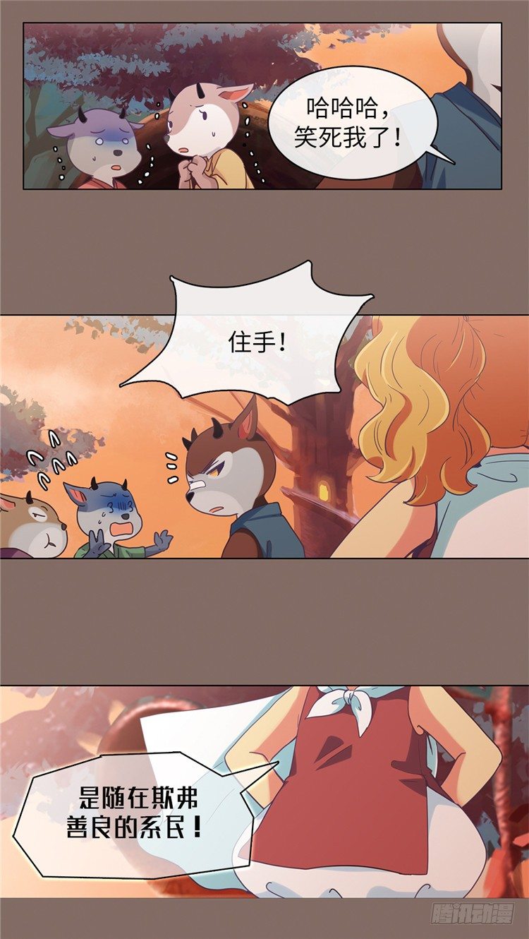 15.jpg