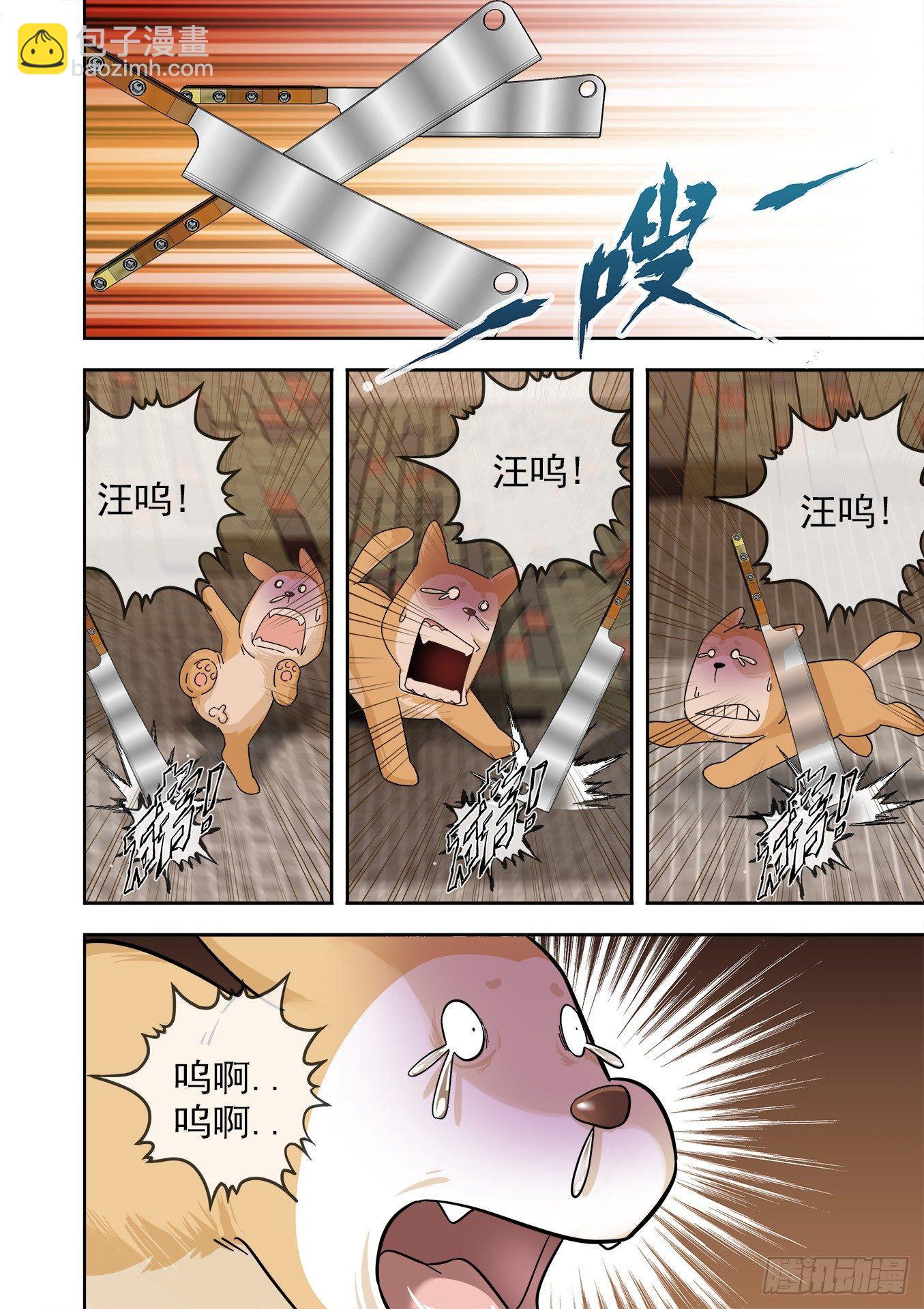 20.jpg