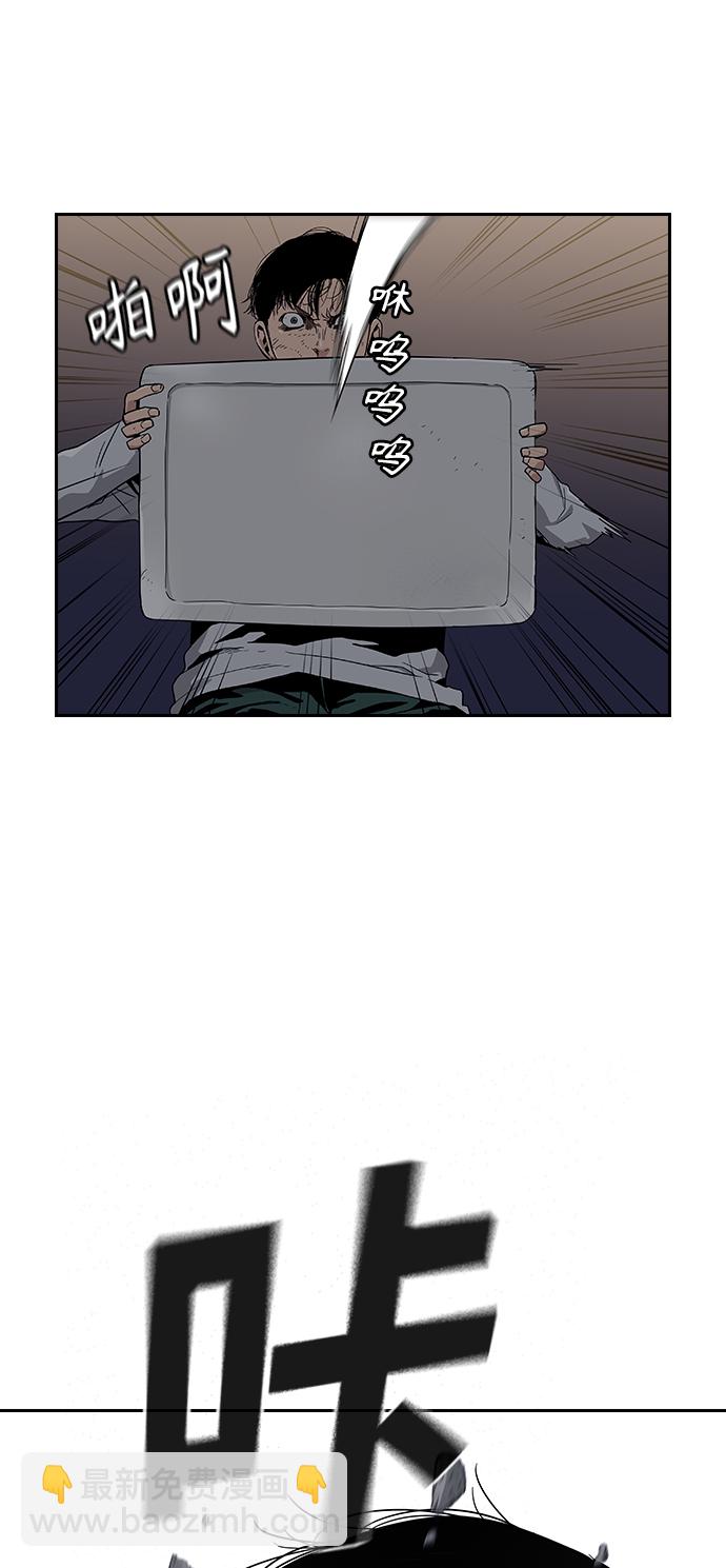 47.jpg