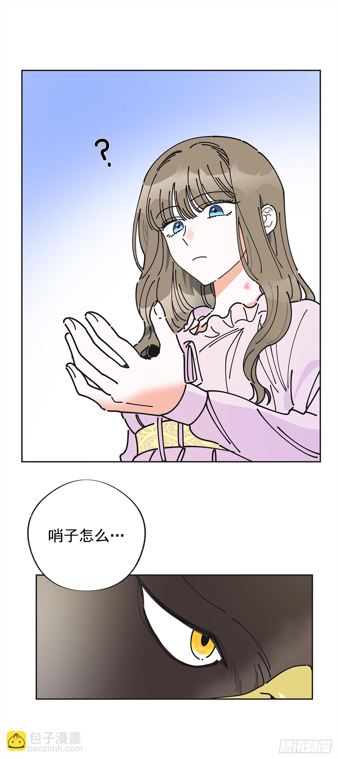 40.jpg