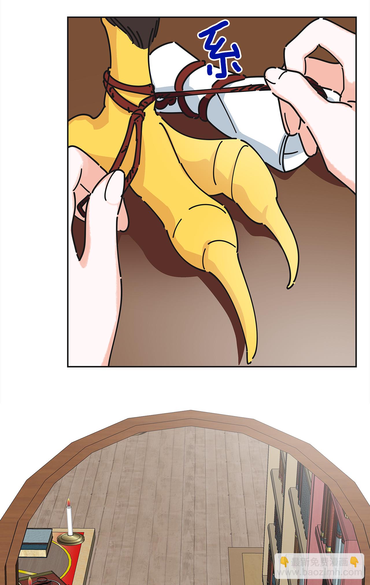 50.jpg