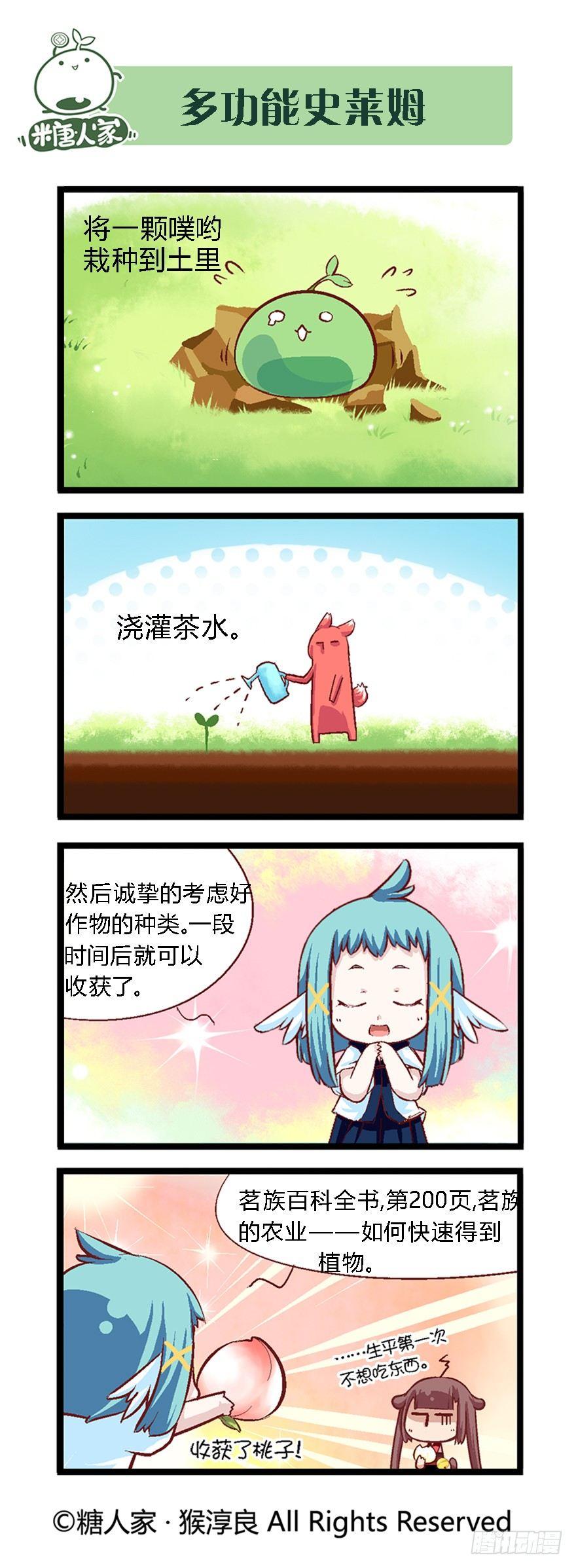 5.jpg