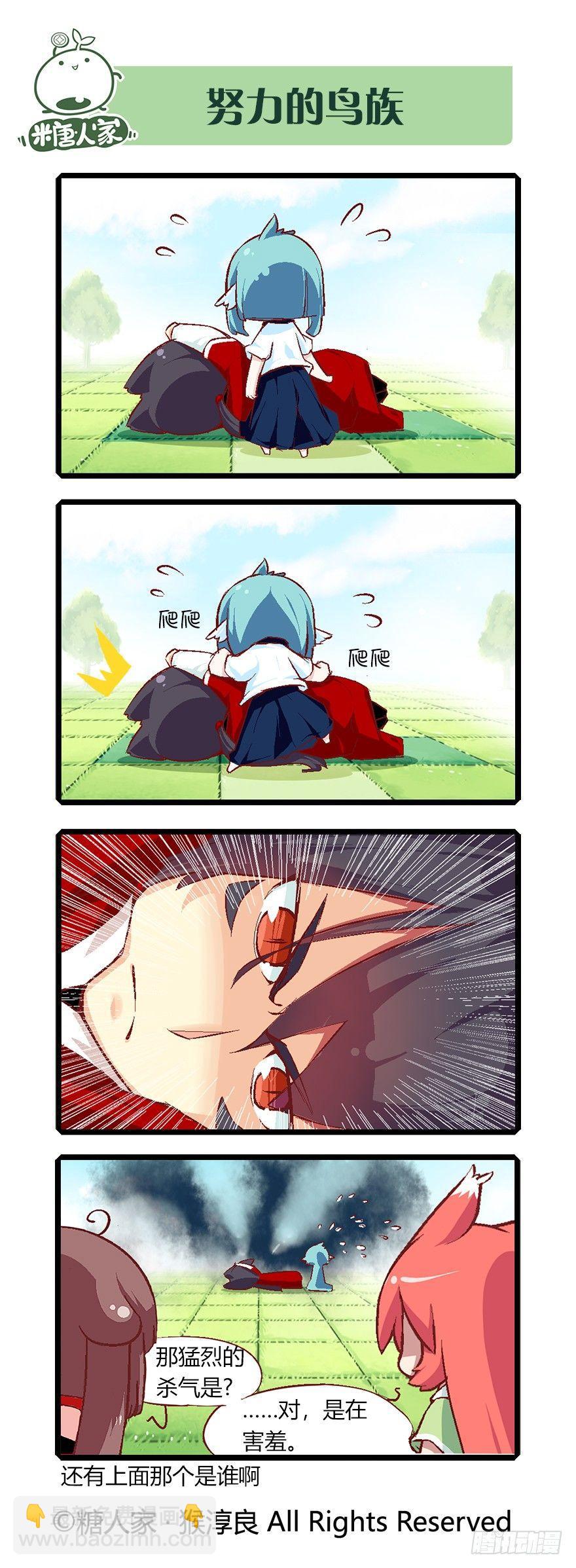 11.jpg