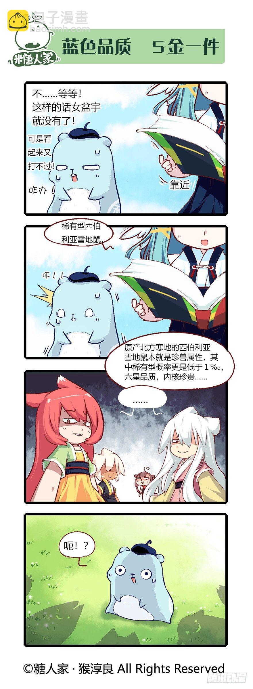 6.jpg
