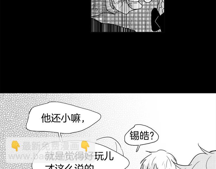 46.jpg
