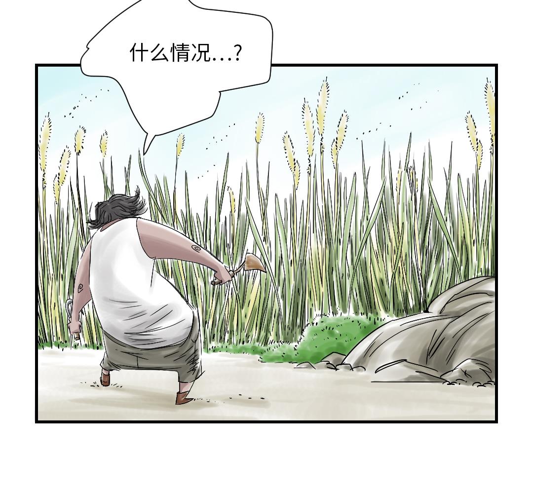 46.jpg
