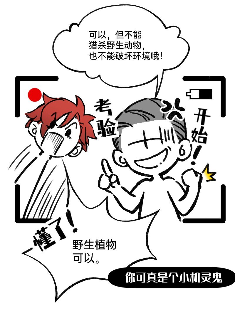 20.jpg