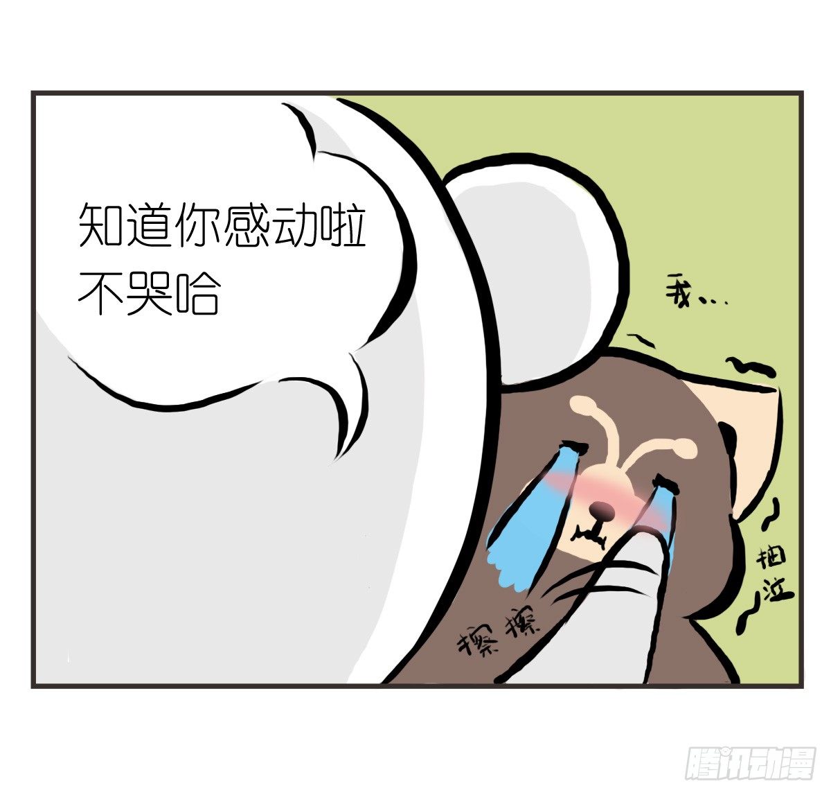 26.jpg